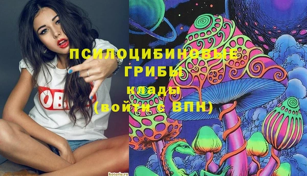 apvp Аркадак