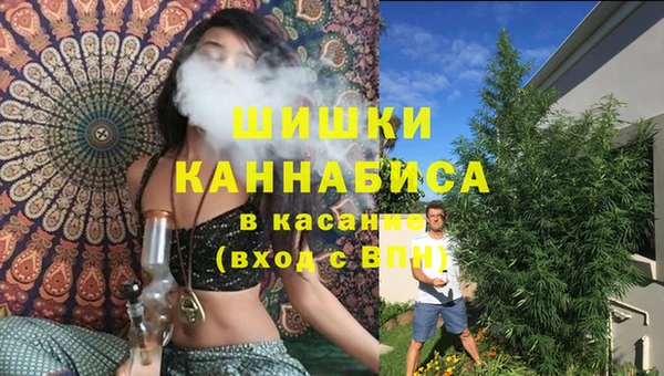apvp Аркадак