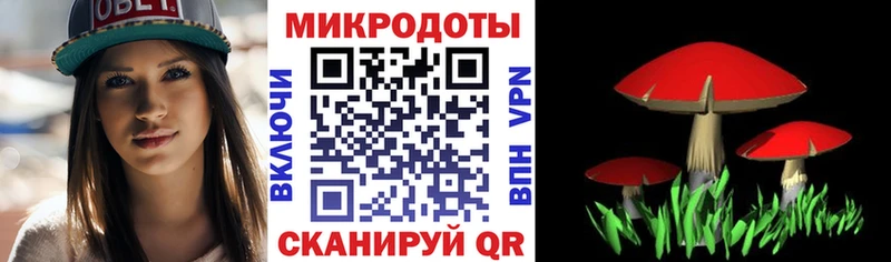 Галлюциногенные грибы Psilocybe  сайты даркнета официальный сайт  Коммунар 