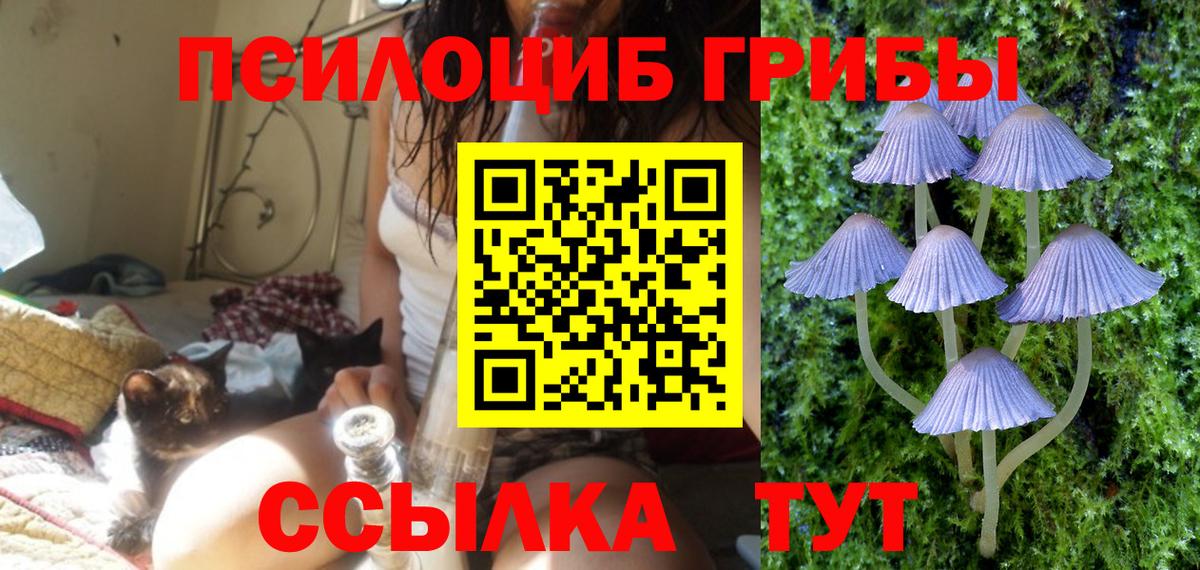 магазин продажи наркотиков  Псилоцибиновые грибы ЛСД  Вход с VPN  Коммунар 